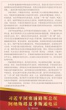  習近平同塞浦路斯總統