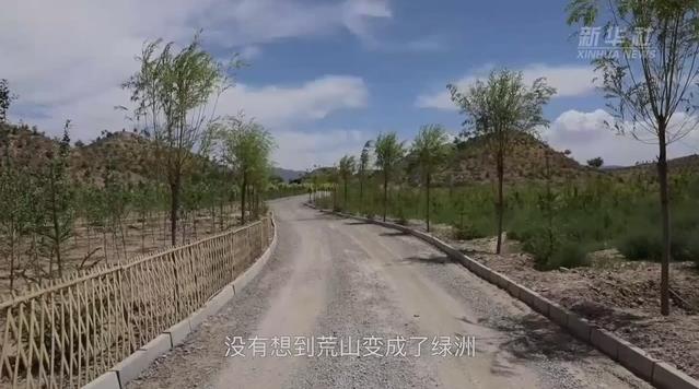 甘肅平川：國家儲備林建
