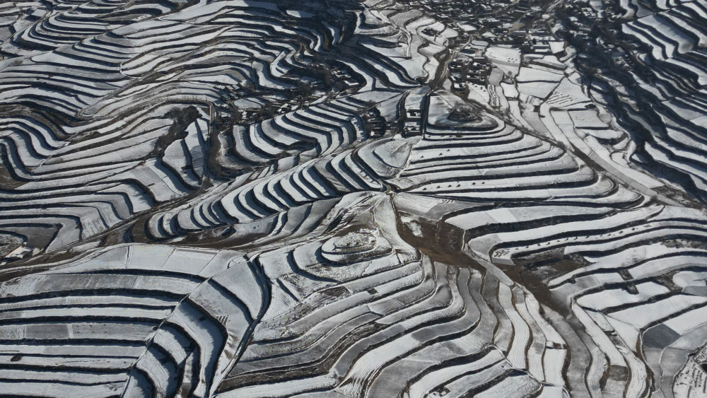 隴原瑞雪迎春盡顯北國風光