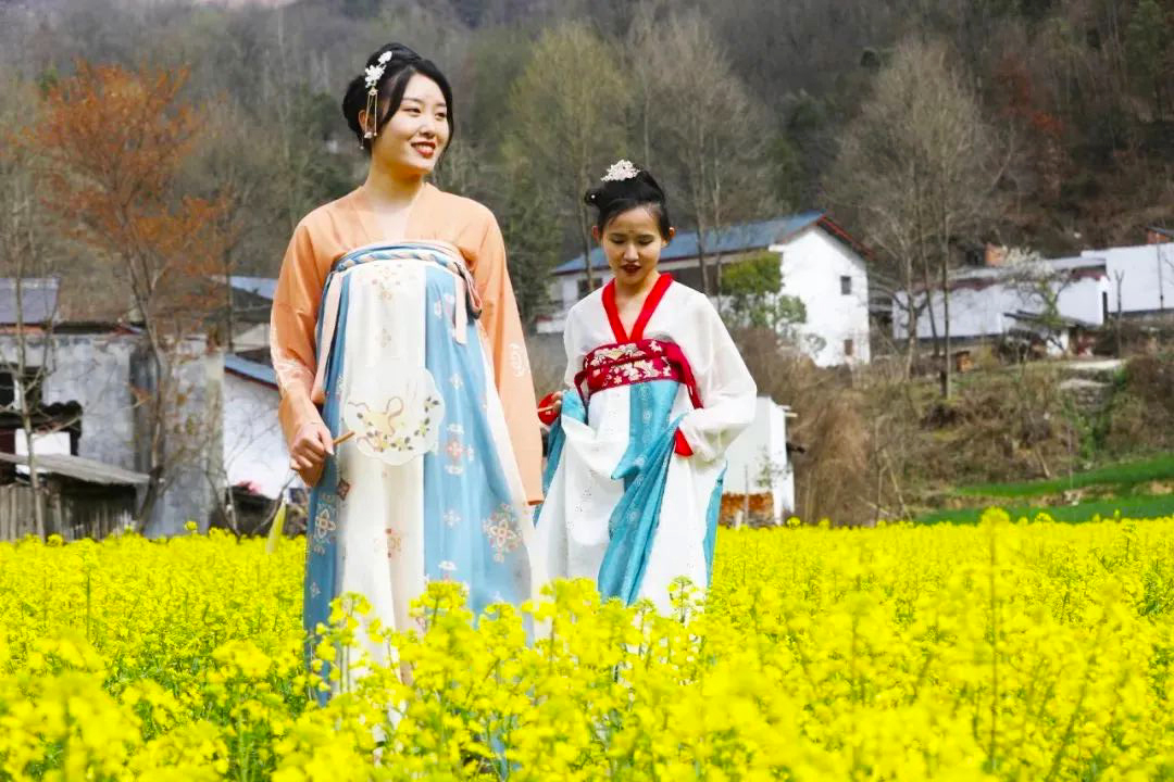 隴南康縣：油菜花海 為你而開
