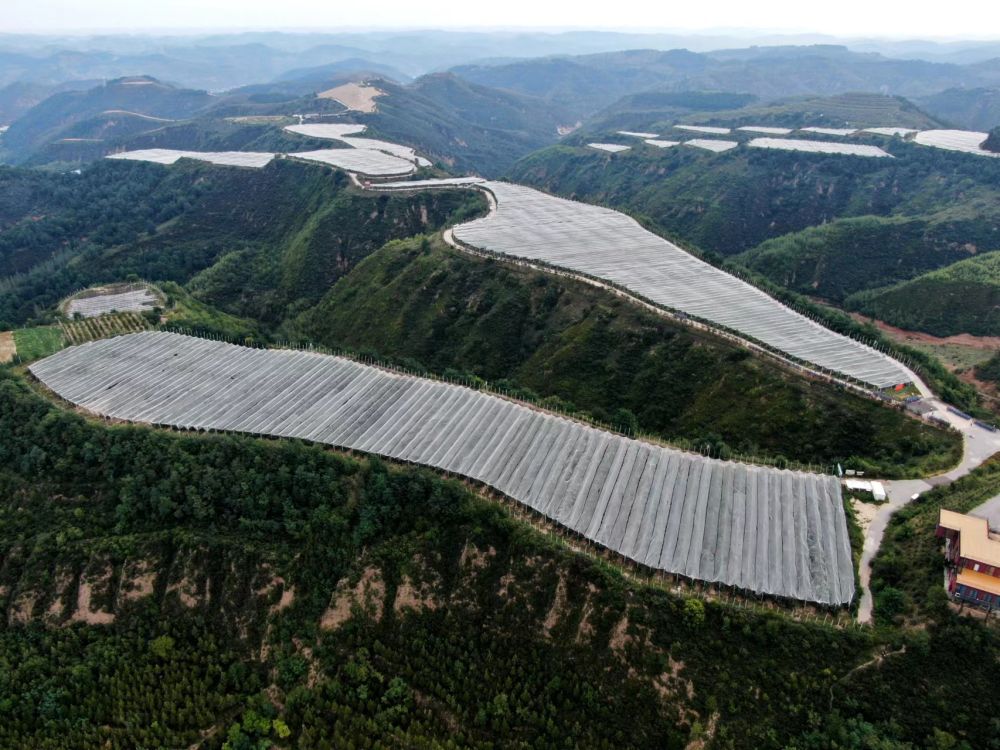 陜北·老區新貌丨黃土