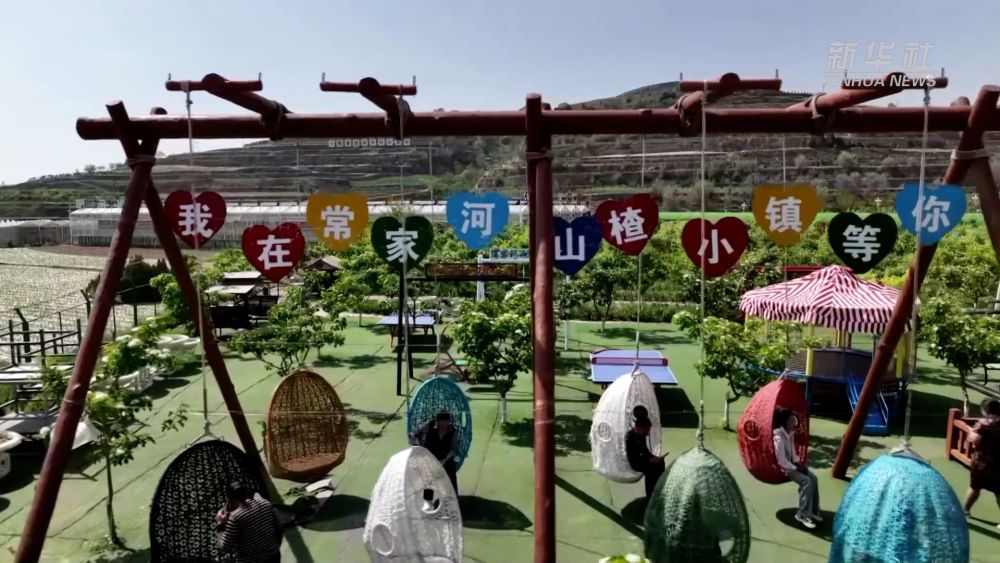 甘肅定西：小山楂“映