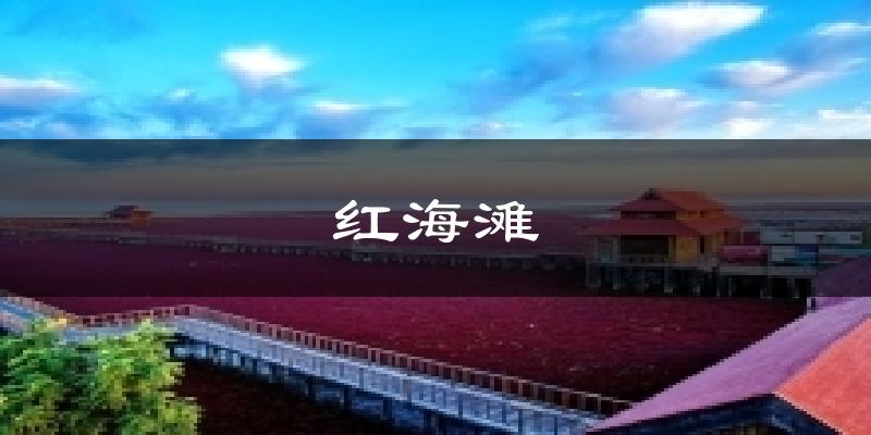 红海滩天气预报十五天