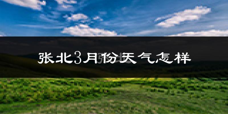张北县3月份天气如何?很冷吗?