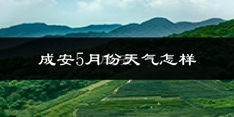 成安县5月份天气如何?很热吗?
