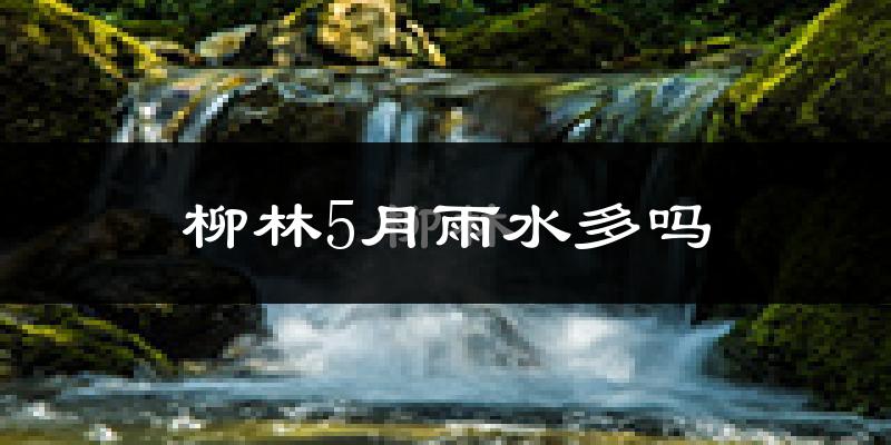 柳林5月雨水多吗?