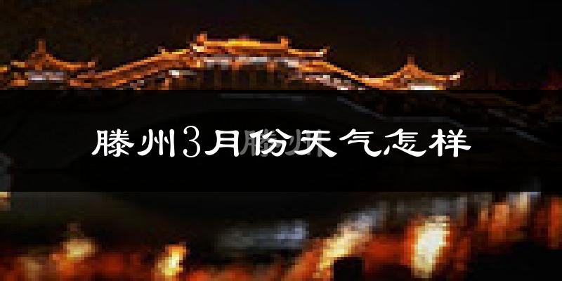 滕州市3月份天气如何?冷吗?