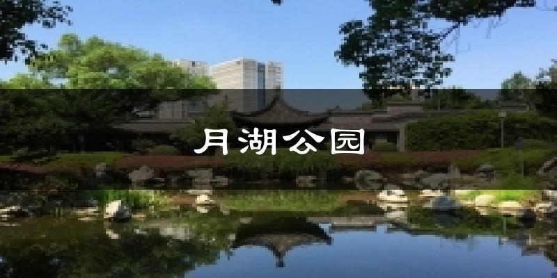 月湖公园天气预报十五天