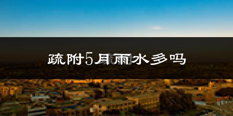 疏附5月雨水多吗?