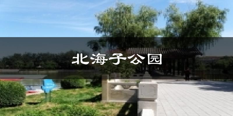 北海子公园天气预报十五天