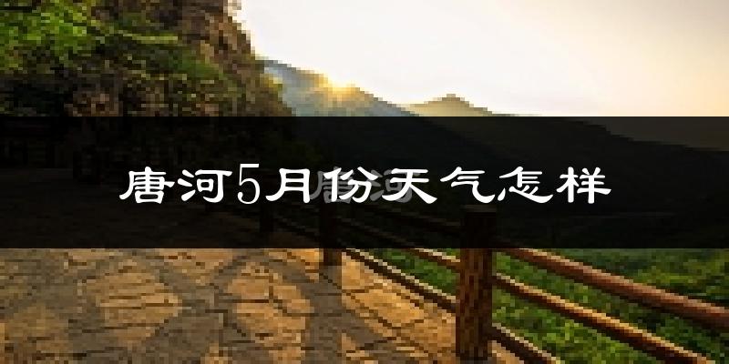 唐河县5月份天气如何?很热吗?