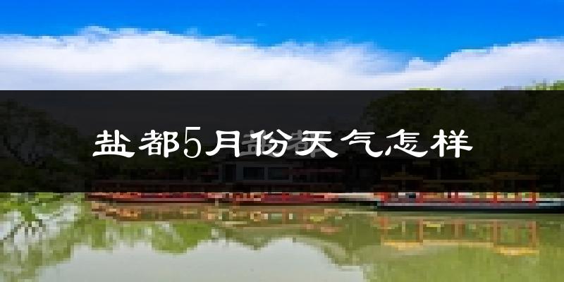 盐都5月份天气怎样?盐都五月冷吗?