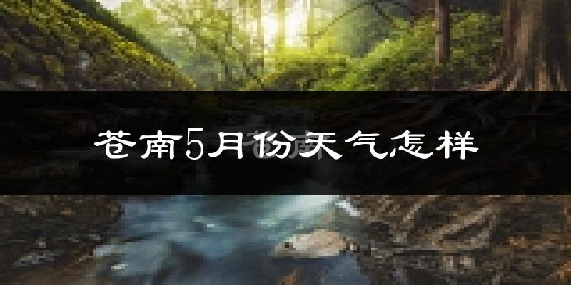 苍南县5月份天气如何?很热吗?