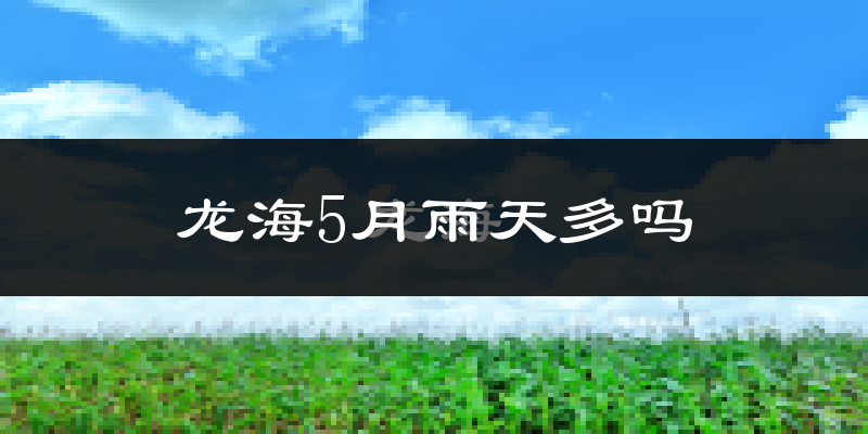 龙海5月雨天多吗?