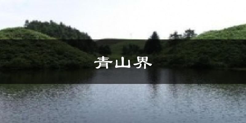 青山界天气预报十五天