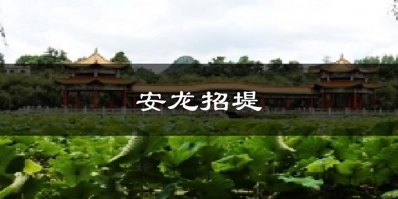 安龙招堤天气预报十五天
