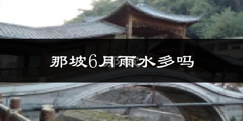 那坡6月雨水多吗?