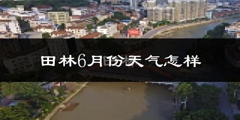 田林县6月份天气如何?很热吗?